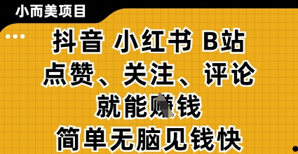 小而美的项目，抖音小红书B站视频点赞、关注、评论就能挣钱，简单无脑立见收益，妥妥的零撸项目【揭秘】-柚子网创