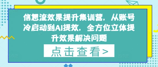 信息流效果提升集训营，从账号冷启动到AI提效，全方位立体提升效果解决问题-柚子网创
