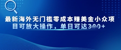 最新海外无门槛美金小众项目可放大操作，单日可达3张-柚子网创