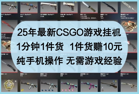 25年最新CSGO游戏挂G，1分钟1件货，1件货挣10元，纯手机操作，无需游戏经验【揭秘】-柚子网创